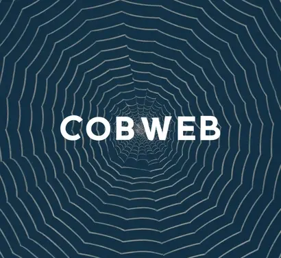 Cobweb
