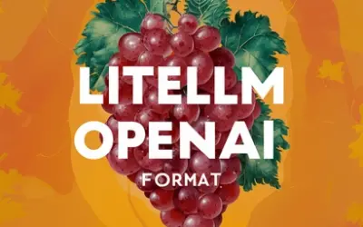 LiteLLM OpenAI Format: Transforming API Interaction