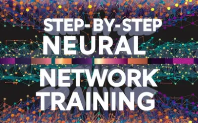 Step-by-Step Neural Network Training