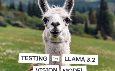 Testing the Llama 3.2 Vision Model