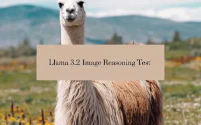Llama 3.2 vs. MOLMO: Image Reasoning Test