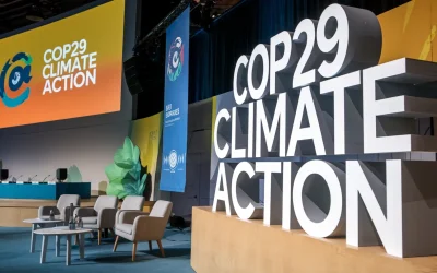 Harnessing Digital Technology for Climate Action at COP29
