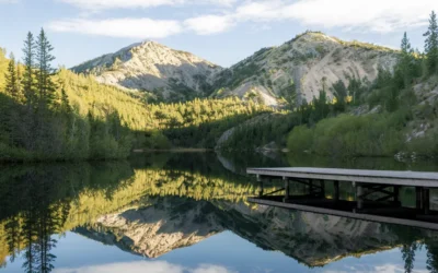 Unlocking LLMs with Tunix Library