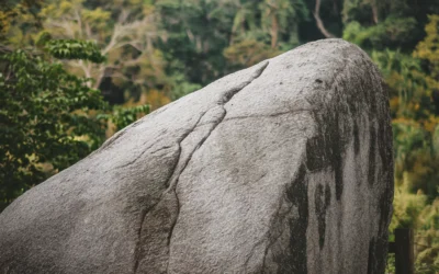 Granite 4.0: Efficient AI Models