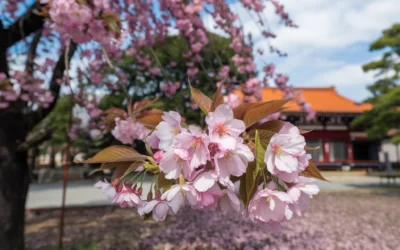 Meta SAM 3 AI Vision Upgrade