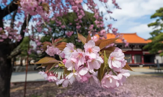 Meta SAM 3 AI Vision Upgrade