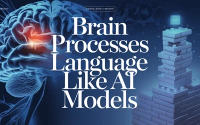 Brain Processes Language Like AI Models