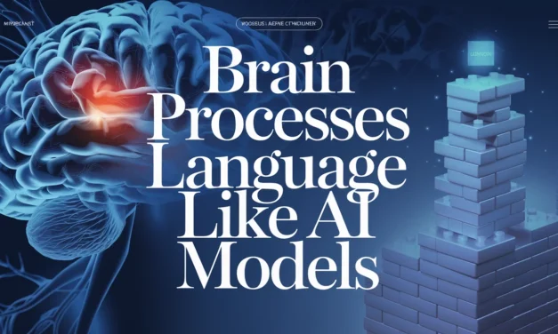 Brain Processes Language Like AI Models